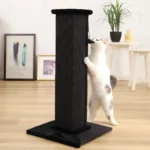 Chat jouant avec un griffoir noir en sisal dans un intérieur chaleureux et accueillant.