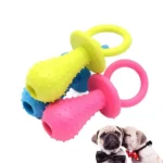 Jouets colorés pour chiens et deux adorables pugs jouant ensemble avec joie.