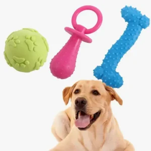 Jouets colorés pour chiens avec un Labrador joyeux, parfaits pour le jeu et la détente.