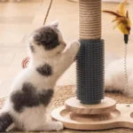 Un adorable chaton blanc et gris samuse avec un griffoir dans un intérieur accueillant.