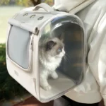 Porteur transparent pour chat : confort et style lors de vos sorties en extérieur.