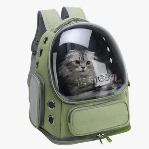 Sac à dos transporteur pour chat, design moderne vert et gris avec dôme transparent.