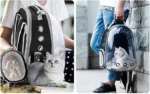 Transportez votre chat avec style grâce à ce sac moderne et confortable, noir et transparent.