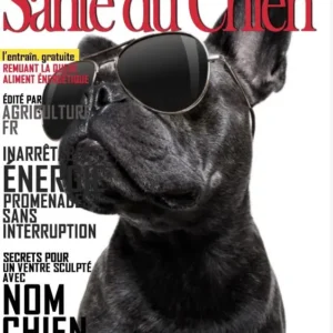 Magazine Santé du Chien : conseils pour la santé et le bien-être des chiens.