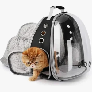 Transporteur pour chat transparent avec un chat orange curieux, esthétique moderne et pratique.