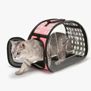 Transporteur transparent pour chat tabby avec accents roses, design moderne et confortable.