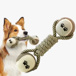 Jouet Pour Chien Dentaire tug rope