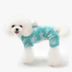 Chien blanc adorable en onesie turquoise à étoiles, joyeux et stylé.