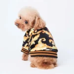 Chien poodle adorable en sweat noir, avec un pelage fluffy et une expression joyeuse.