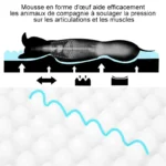 Confort ergonomique pour animaux : mousse en forme dœuf pour soutenir articulations et muscles.