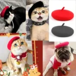 Animaux festifs en bérets colorés: chats et un chien adorables dans des poses joyeuses.