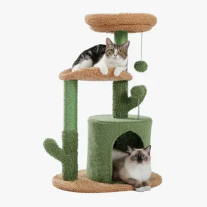 Arbre à chat cactus avec un tabby et un Ragdoll, parfait pour détente et jeu.