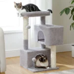 Arbre à chat multi-niveaux confortable pour tabby et chat blanc, idéal pour le jeu et la détente.