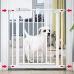 Barrière blanche pour chien dans un salon accueillant avec un chien curieux.