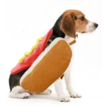 Beagle adorable en costume de hot-dog, un moment amusant et joyeux.