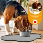 Beagle heureux mangeant dans un bol en acier inoxydable dans une cuisine lumineuse.