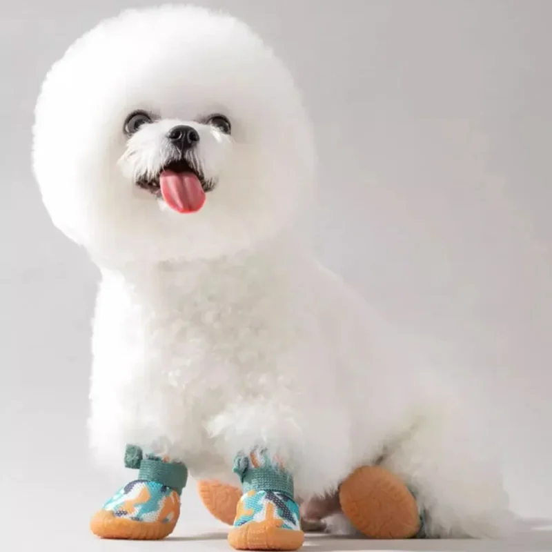 Bichon Frise joyeux avec chaussures colorées, un look adorable et tendance.
