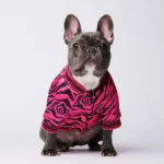 French Bulldog adorable en chemise rose à motifs zèbre, charmante et pleine de personnalité.