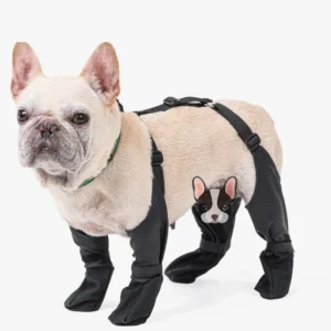 Bouledogue français en waders noirs, amusante tenue avec un jouet miniature, style joyeux et pratique.