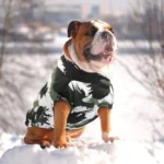 Un bulldog joyeux en veste tropicale dans la neige, alliant charme et humour hivernal.