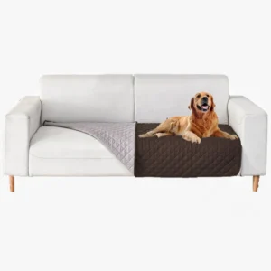 Couch moderne blanc avec chien golden retriever, ambiance chaleureuse et accueillante.