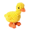 canard