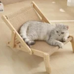 Chat gris détendu sur un repose-chat en bois dans une ambiance cosy.