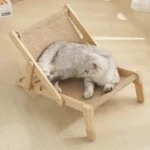 Chaise confortable pour chat avec un félin détendu dans un intérieur apaisant.