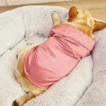 Chien mignon endormi sur un lit douillet, habillé dune tenue rose élégante.