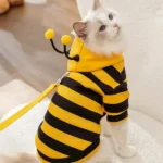 Chat en costume de bumblebee, curieux et prêt pour laventure dans un intérieur chaleureux.