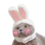 Mignon chat en costume de lapin, pelage gris, yeux jaunes, moment adorable.