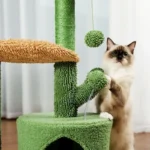 Chat jouant avec un pompon vert sur un arbre à chat confortable et amusant.