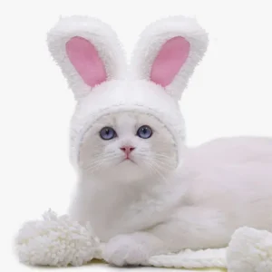 Chat blanc adorable avec un chapeau de lapin et des yeux bleus sur un fond cosy.