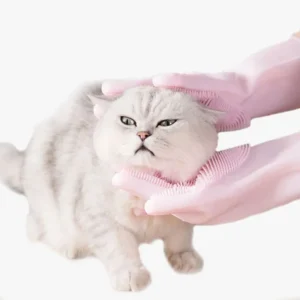 Chat blanc et gris se fait brosser avec des gants roses. Moment de soin et de complicité.