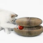 Un chat blanc curieux joue avec un jouet circulaire et une balle rouge.