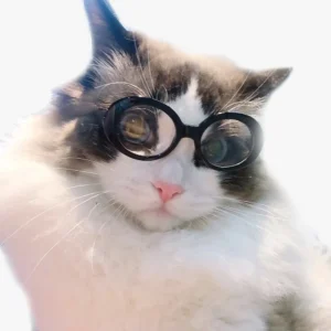 Un chat blanc amusant portant de grandes lunettes rondes, capturant une expression charmante et curieuse.