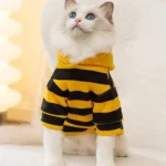 Chat blanc curieux en costume de bumblebee avec des yeux bleus éclatants.