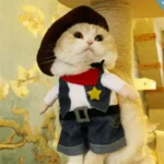 Chat mignon en costume de cowboy avec chapeau et bandana, adorable et amusant.