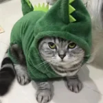 Un chat en costume de dinosaure vert avec un regard amusé à la maison.