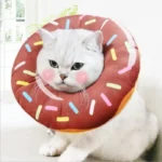 Un chat adorable avec un collier en donut chocolat et sprinkles colorés, plein de charme.