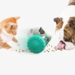 Un chat et un bulldog samusent avec un jouet distributeur de nourriture turquoise.