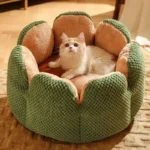 Un chat câlin dans un coussin en forme de fleur, un décor chaleureux et accueillant.