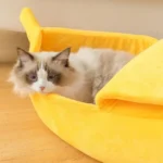 Un chat fluffy se repose dans un lit en forme de banane jaune, adorable et confortable.