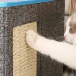 Chat blanc jouant avec un griffoir en sisal dans un intérieur chaleureux.