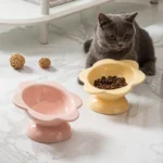 Chat gris élégant avec bols pastel, une ambiance douce et apaisante pour animaux.