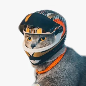 Chat gris au casque de course coloré, captivant et prêt pour laventure.