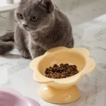 Chat gris curieux avec bol de croquettes en forme de fleur jaune.