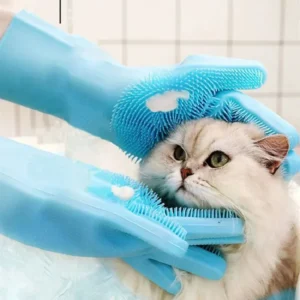 Séance de toilettage dun chat avec des gants bleus, moment de bien-être animal.