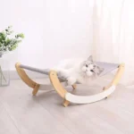 Chat détendu sur un hamac minimaliste dans un salon zen et lumineux.