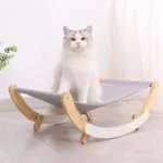 Chat adorable sur un hamac moderne, ambiance calme et design élégant.